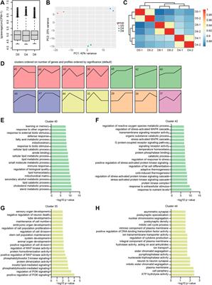 Assessment of CircRNA Expression Profiles and Potential Functions in Brown Adipogenesis